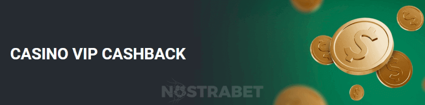 betwinner vip cashback casino